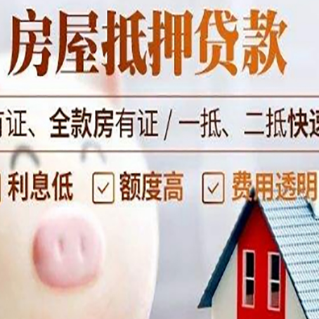 望江贷款助贷公司新渝启服靠谱公司