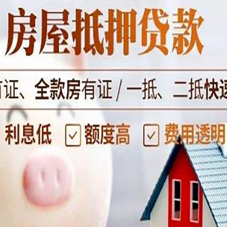 望江贷款助贷公司新渝启服成立时间久